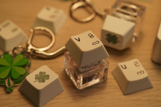 Keyswitch Keychain View 11